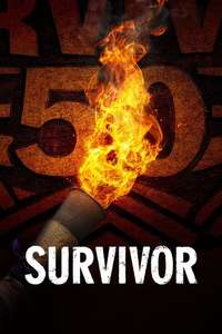 Survivor - Posters