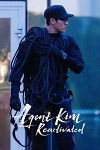 Agent Kim Reactivated - Posters