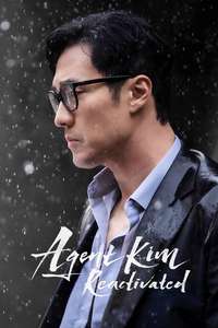Agent Kim Reactivated - Posters