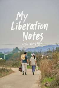 My Liberation Notes - Posters