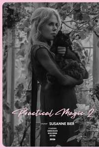 Practical Magic 2 - Posters
