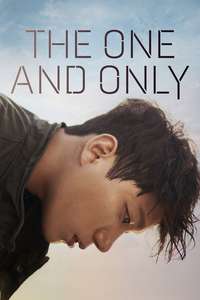 The One and Only - Posters