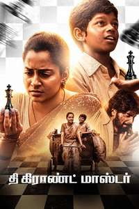 The Grand Master - Posters