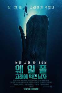 Whalefall - Posters