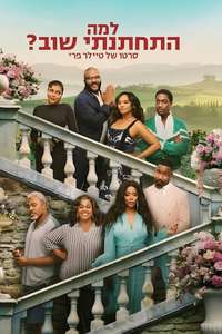Why Did I Get Married Again? - Posters