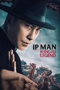 Ip Man: Kung Fu Legend - Posters