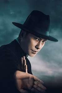 Ip Man: Kung Fu Legend - Posters