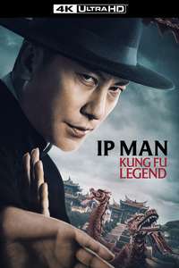 Ip Man: Kung Fu Legend - Posters