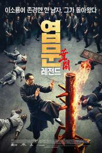 Ip Man: Kung Fu Legend - Posters