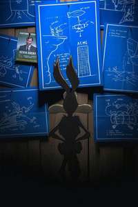 Coyote vs. Acme - Posters