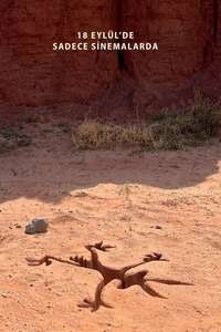 Coyote vs. Acme - Posters