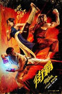 Street Fighter - Posters
