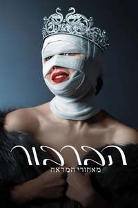 The Swan: Behind the Mirror - Posters