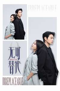 Irreplaceable - Posters