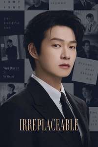 Irreplaceable - Posters