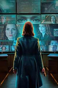 The Capture - Posters