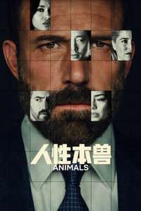 Animals - Posters