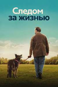 After Life - Posters