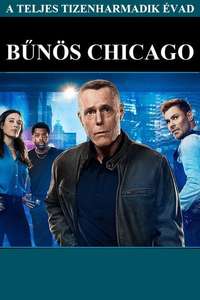 Chicago P.D. - Posters
