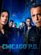Chicago P.D. : Season 14