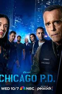 Chicago P.D. - Posters