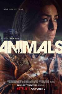 Animals - Posters