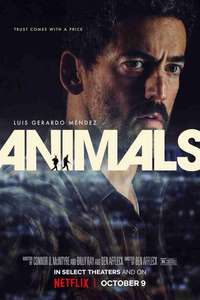 Animals - Posters