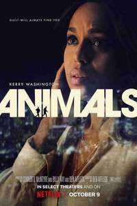 Animals - Posters