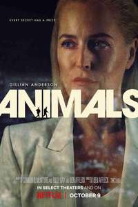 Animals - Posters