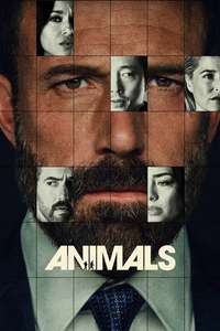 Animals - Posters