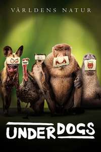 Underdogs - Posters