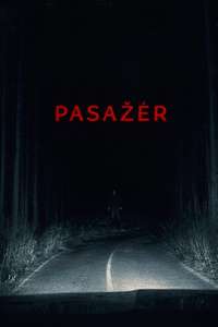 Passenger - Posters