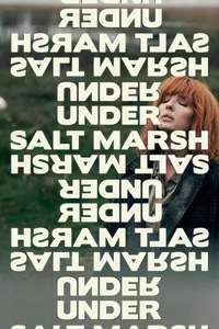 Under Salt Marsh - Posters