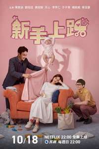 Driving Mom Crazy - Posters