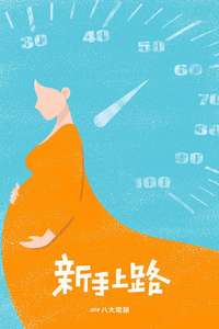 Driving Mom Crazy - Posters