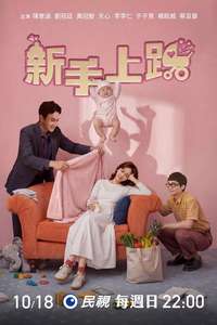 Driving Mom Crazy - Posters