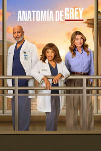 Grey's Anatomy - Posters