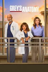 Grey's Anatomy - Posters