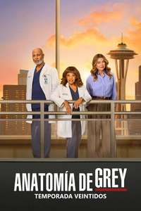 Grey's Anatomy - Posters