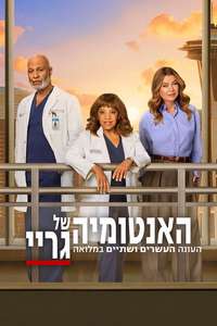 Grey's Anatomy - Posters