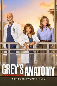 Grey's Anatomy - Posters