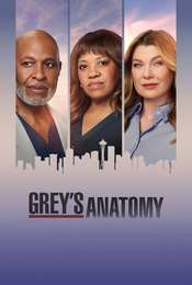 Grey's Anatomy Season 23