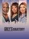 Grey's Anatomy : Season 23