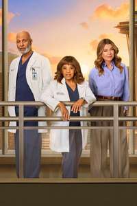 Grey's Anatomy - Posters
