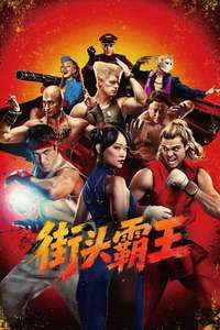 Street Fighter - Posters
