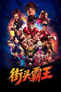 Street Fighter - Posters