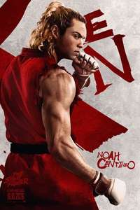 Street Fighter - Posters