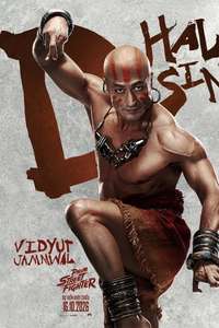Street Fighter - Posters