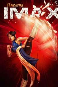 Street Fighter - Posters