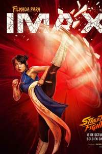Street Fighter - Posters
